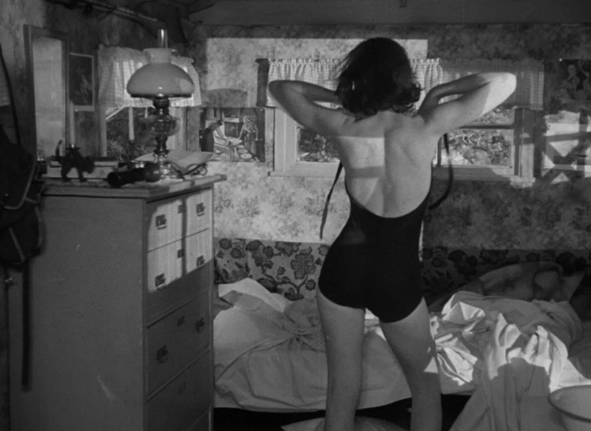 Thomas C. tweet media