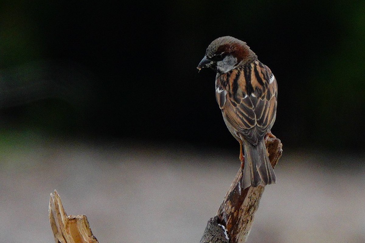 When the common place is ignored,
Colours fade and time stands still. 
When we take time to re-examine, re-evaluate,
Prepare to be amazed. 
Prepare to accept beauty in the strangest places.