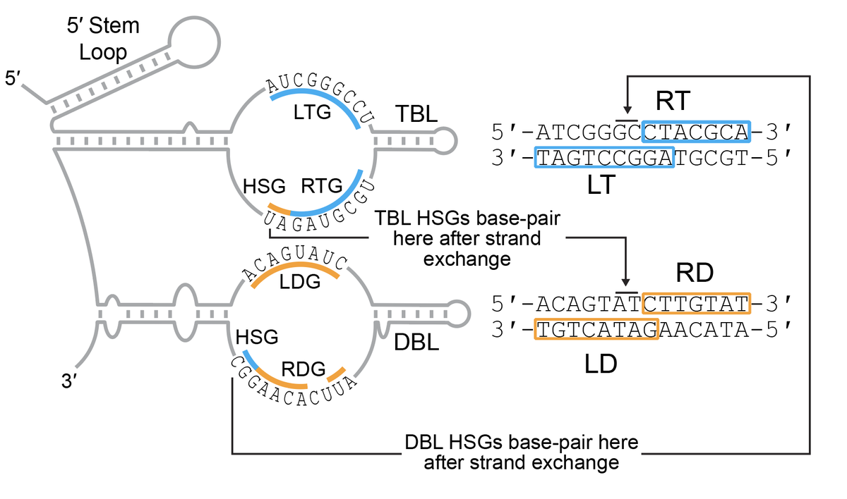 Nicholas Perry tweet media