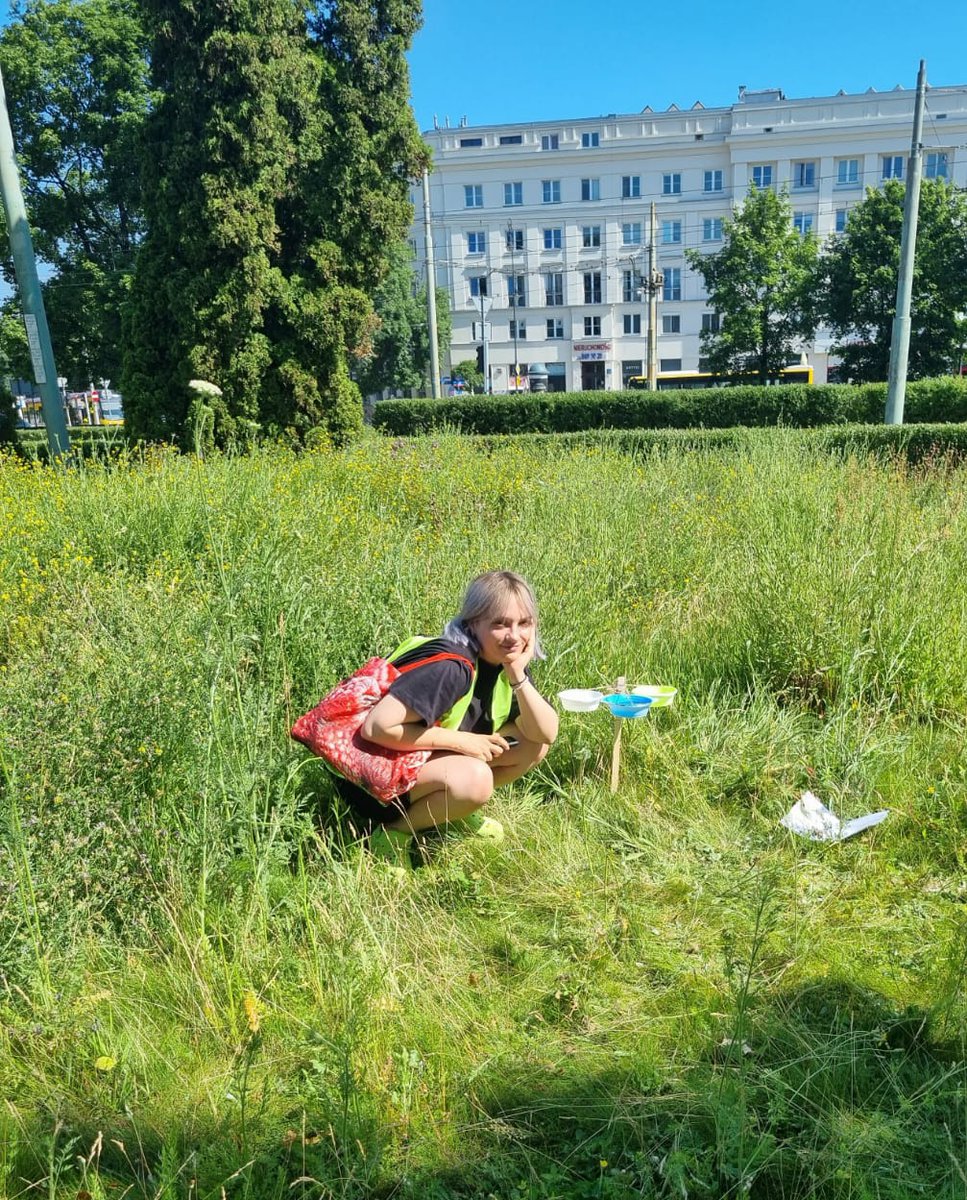 Social And Myrmecophilous Insects tweet media