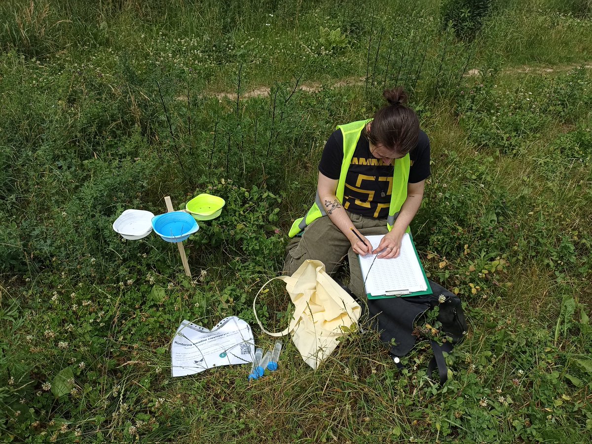 POLLINATORS in Warsaw 🐝🪲🐜What is the role of green patches in urban areas for their conservation? We will soon find out by collaborating in this international project. But now, let's continue our sampling with the assistance of our eager students #Urban_pollinators <a href="/MiIZ_PAS/">Museum and Institute of Zoology PAS</a>