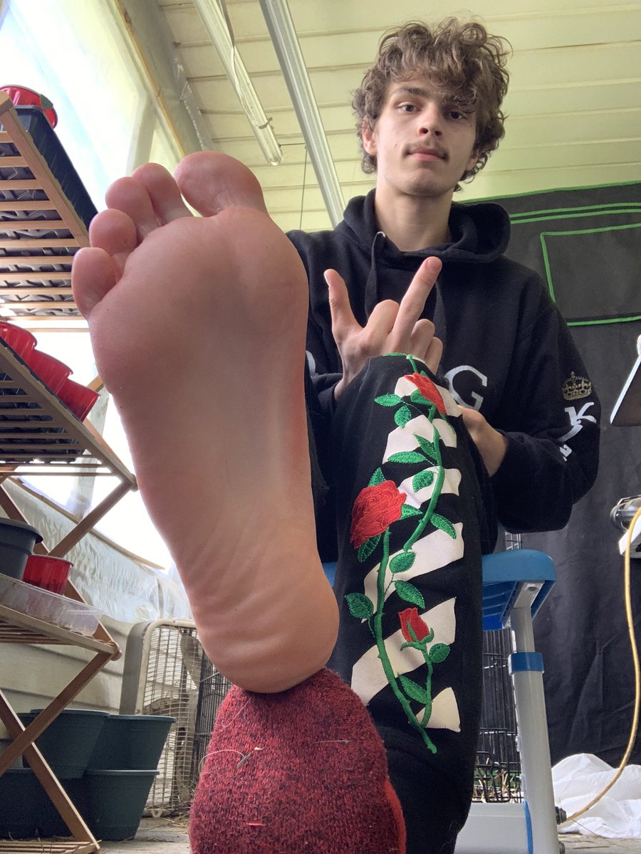 Alphakden2.0 tweet media