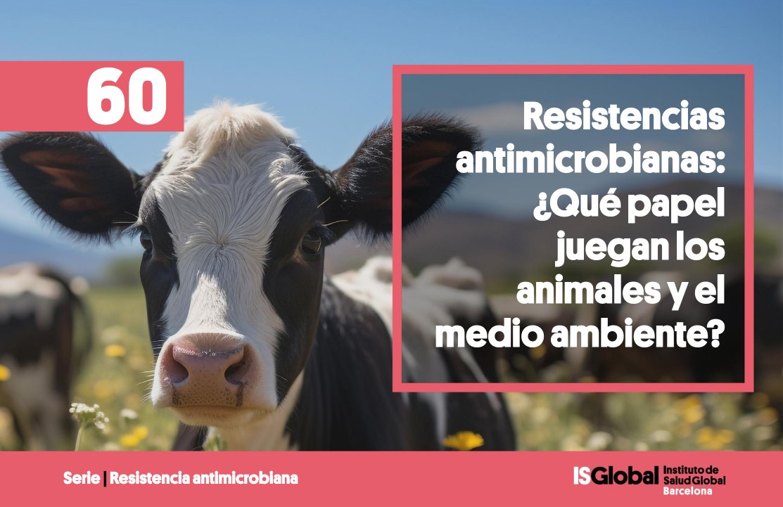 ⚠️Hemos avanzado en la lucha contra las #ResistenciasAntimicrobianas, pero no podemos relajarnos. 

🌍La crisis puede agravarse con los efectos del #CambioClimático en la agricultura, la ganadería y la propagación de enfermedades infecciosas.

🔗isglobal.org/-/resistencias…