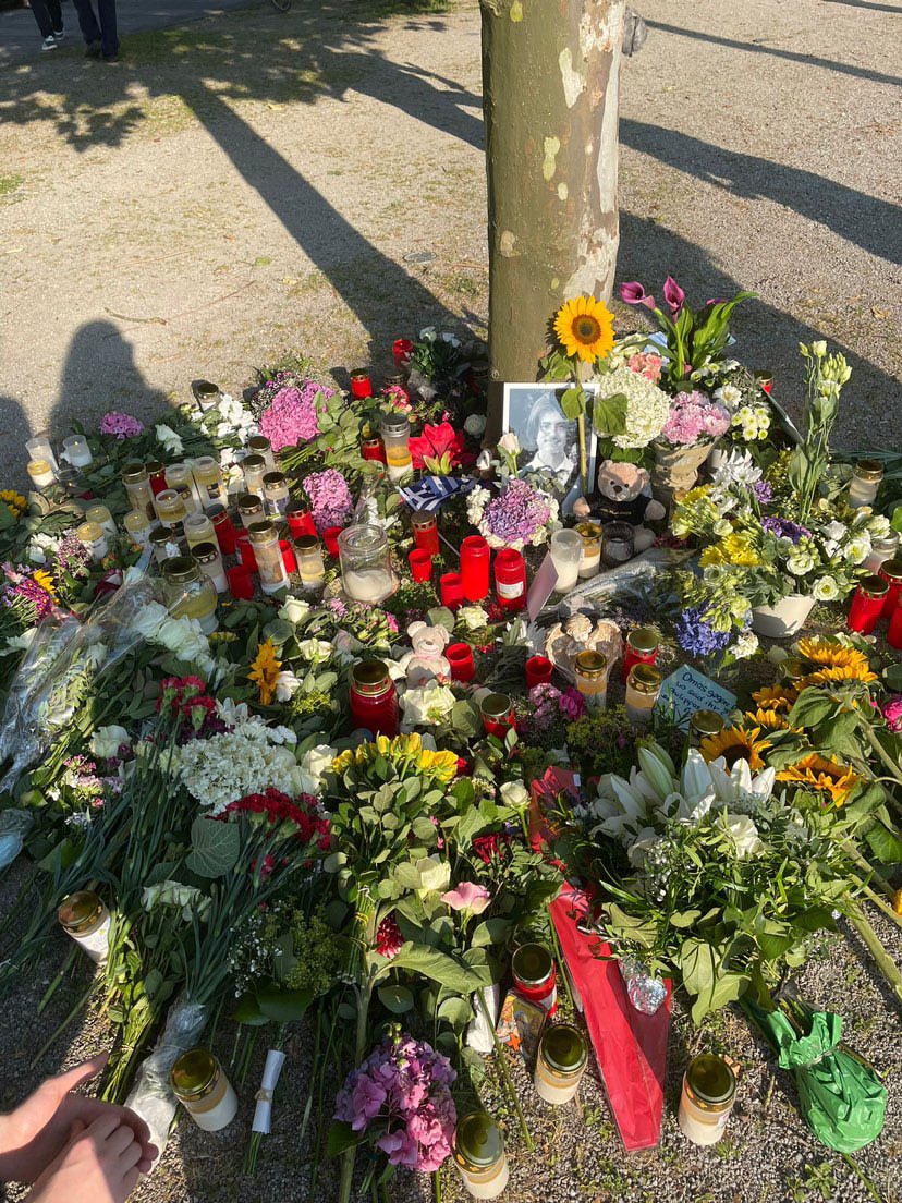 leemo⭑ ₍ᐢ. ༝ .ᐢ₎ tweet media