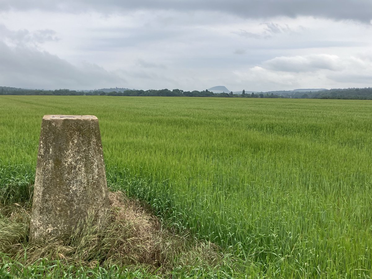 iancampbell251's tweet image. More Edinburgh and Lothian #trigpoints 
Under Bolton
West Bank Reservoir ( shout out to my ⁦@scottishwater⁩ pals)
Fallside Hill 
Another long day