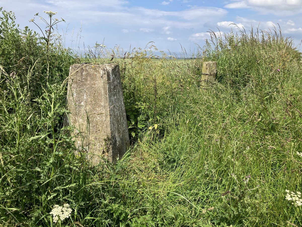 iancampbell251's tweet image. More Edinburgh and Lothian #trigpoints 
Under Bolton
West Bank Reservoir ( shout out to my ⁦@scottishwater⁩ pals)
Fallside Hill 
Another long day