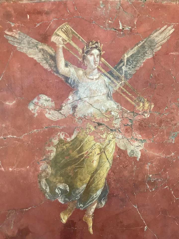 Nora Garibotti tweet media