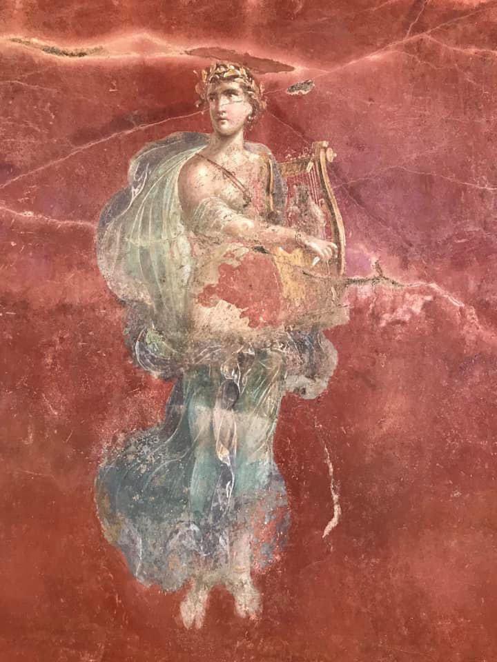 Nora Garibotti tweet media