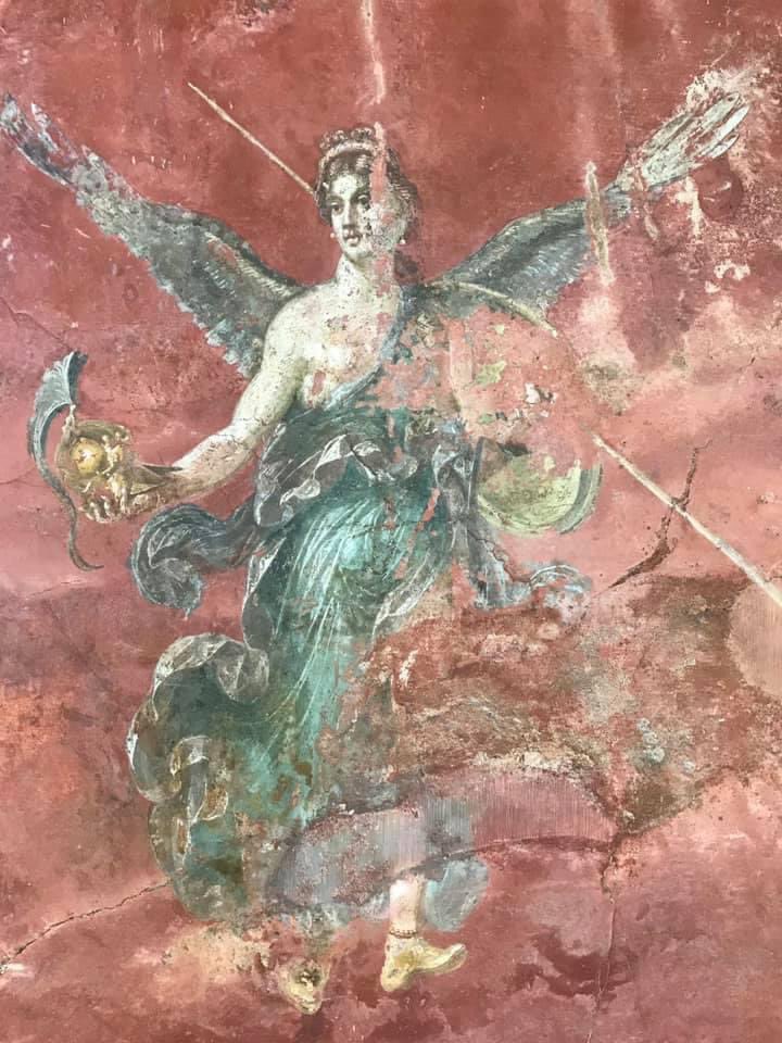 Nora Garibotti tweet media