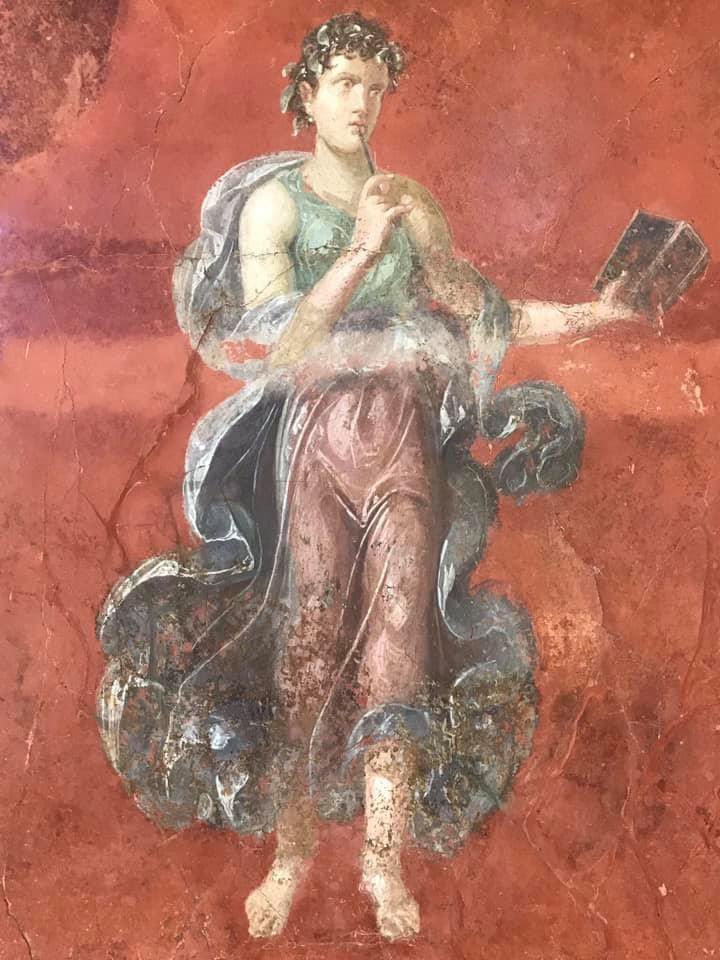 Nora Garibotti tweet media