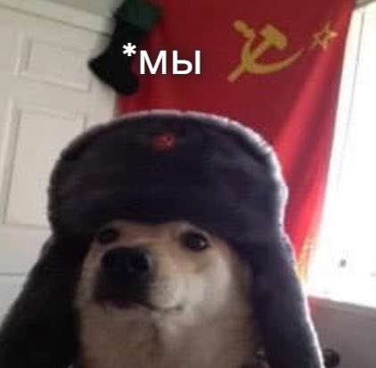 SovietSamSol's tweet photo. @meechie @chol0mander @slingoor 9CnvEnQ7N7SGCbKiPEo6gsvi5AYbTCaZd1S959ftpump https://t.co/iVigUkTbpo