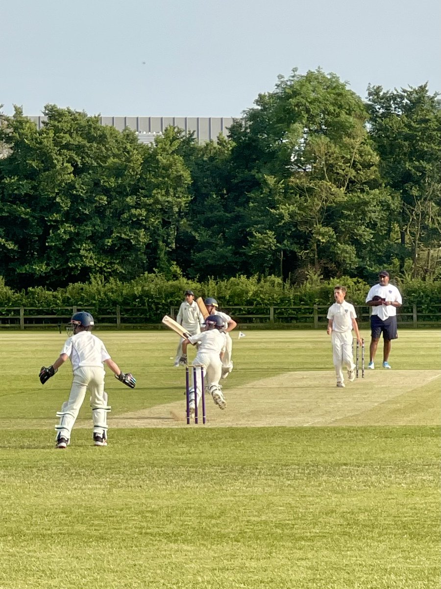 Perse Cricket tweet media