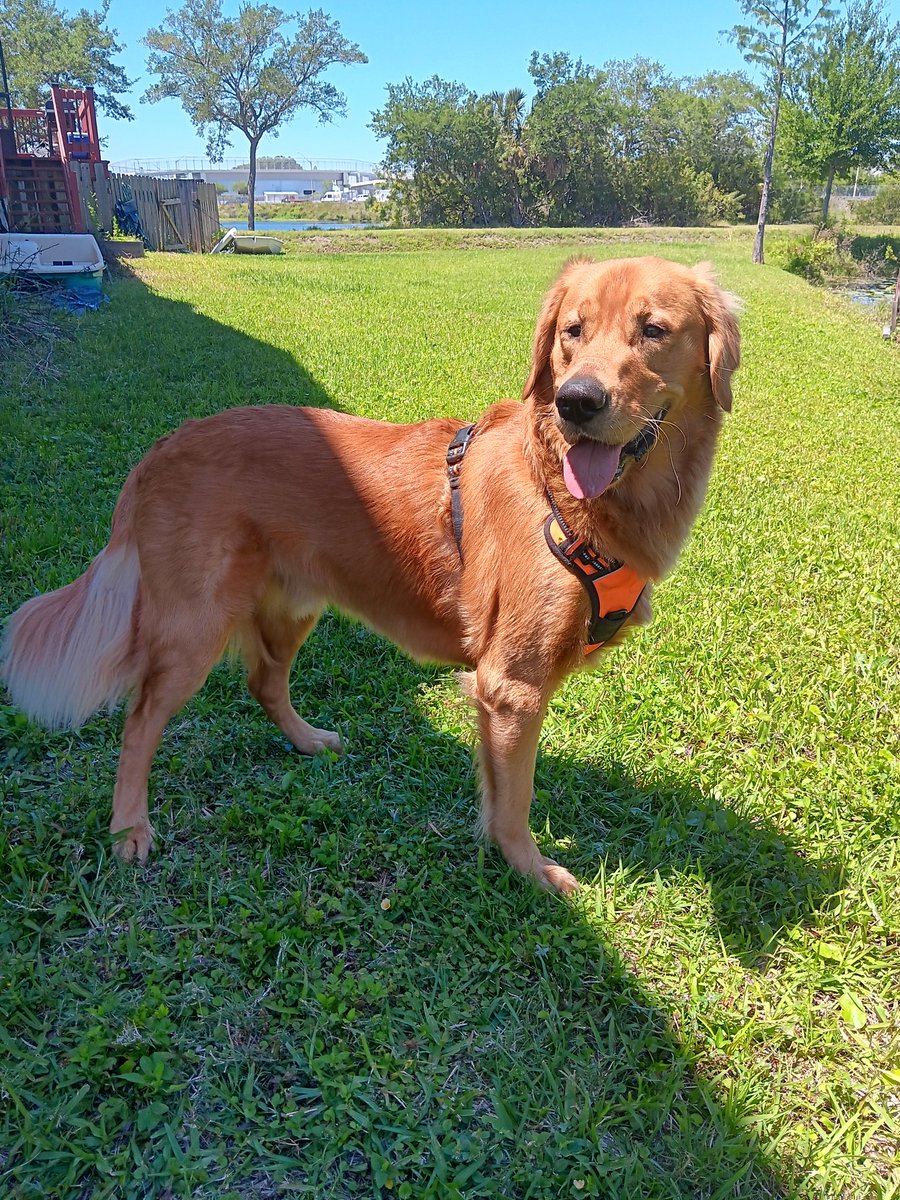 Bacon4EverEver tweet media