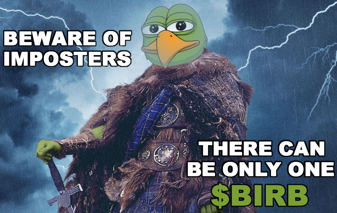 birbCTO's tweet photo. Beware of copycats (fake birb projects)! Chirp on! #memecoins #memecoin #solana #birb #pepe #dex https://t.co/sx9lKrPV8E