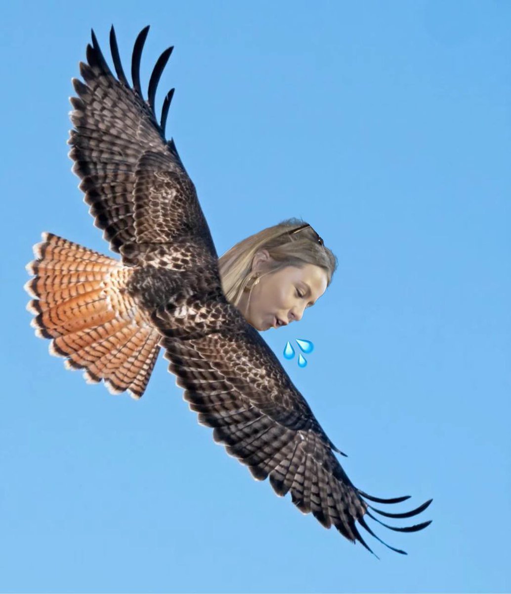 SOLhawktuah's tweet photo. @dogeofficialceo @elonmusk Hawk tuah, 
Spit on that thang. #hawktuah https://t.co/NGWi8ej81o