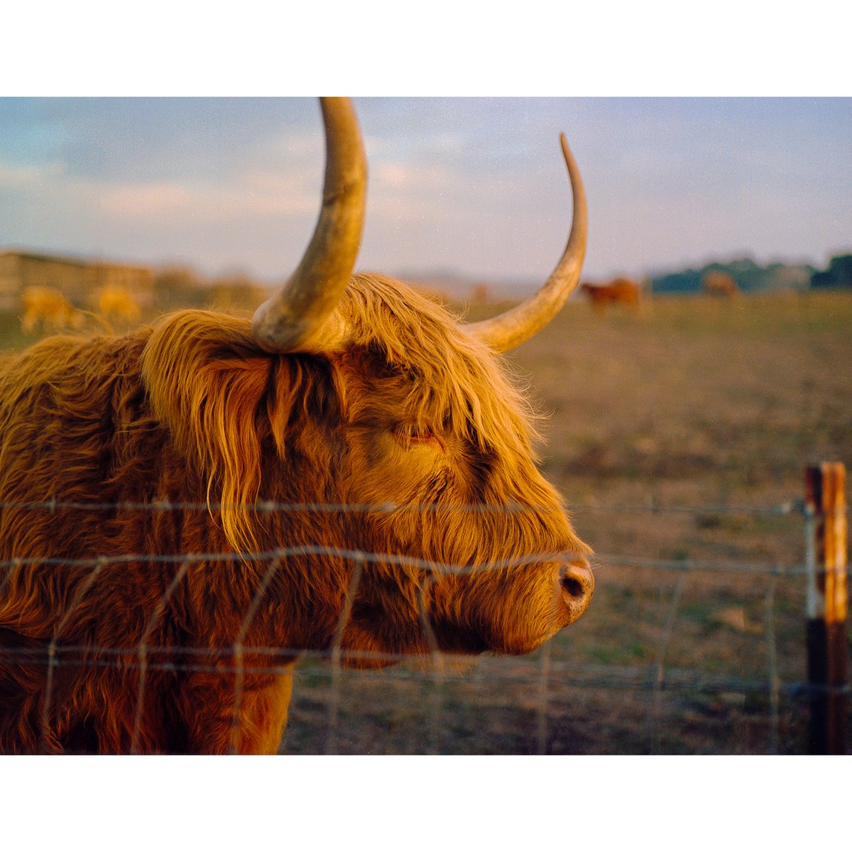 KodakProFilmBiz's tweet photo. Onome Uyovbievbo 
https://t.co/ElsjAkdKhW
🎞️ #gold200

"They say a picture is worth a thousand words and these photos represent me challenging my beliefs and daring to dream by pushing myself towards the direction of actualization and the purest joy." - Onome https://t.co/omX6K2ZynY
