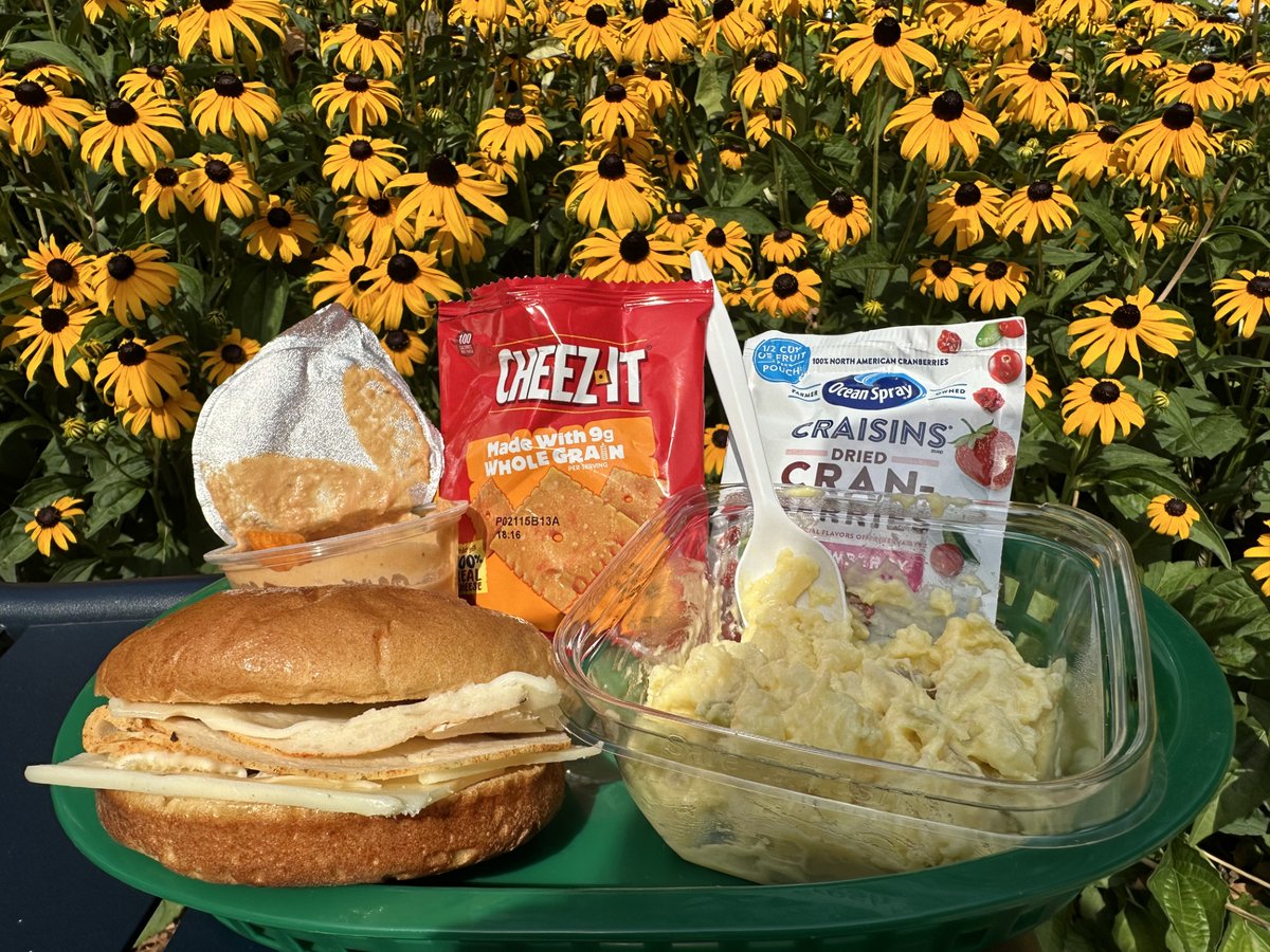 NDS is into our second week of Free Summer Meals! Stop by your local site to grab a delicious Chicken &amp; Mozzarella on a Brioche Bun🍗 Potato Salad 🥔 Craisins 🍒 Cheesy Pizza Hummus🍕 &amp; Cheez-It🧡 If you are interested in free summer meals call the NDS office! #summer2024 #Philly