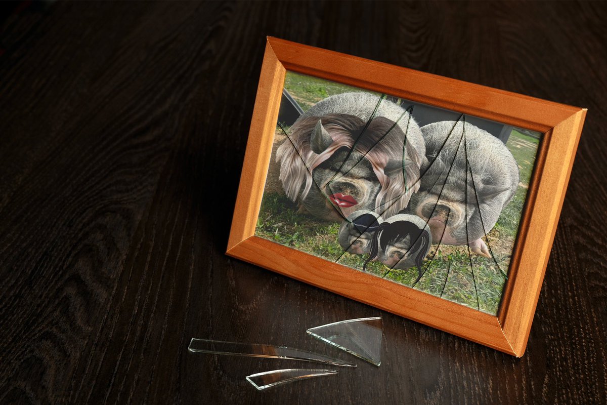 $Reeboka tweet media