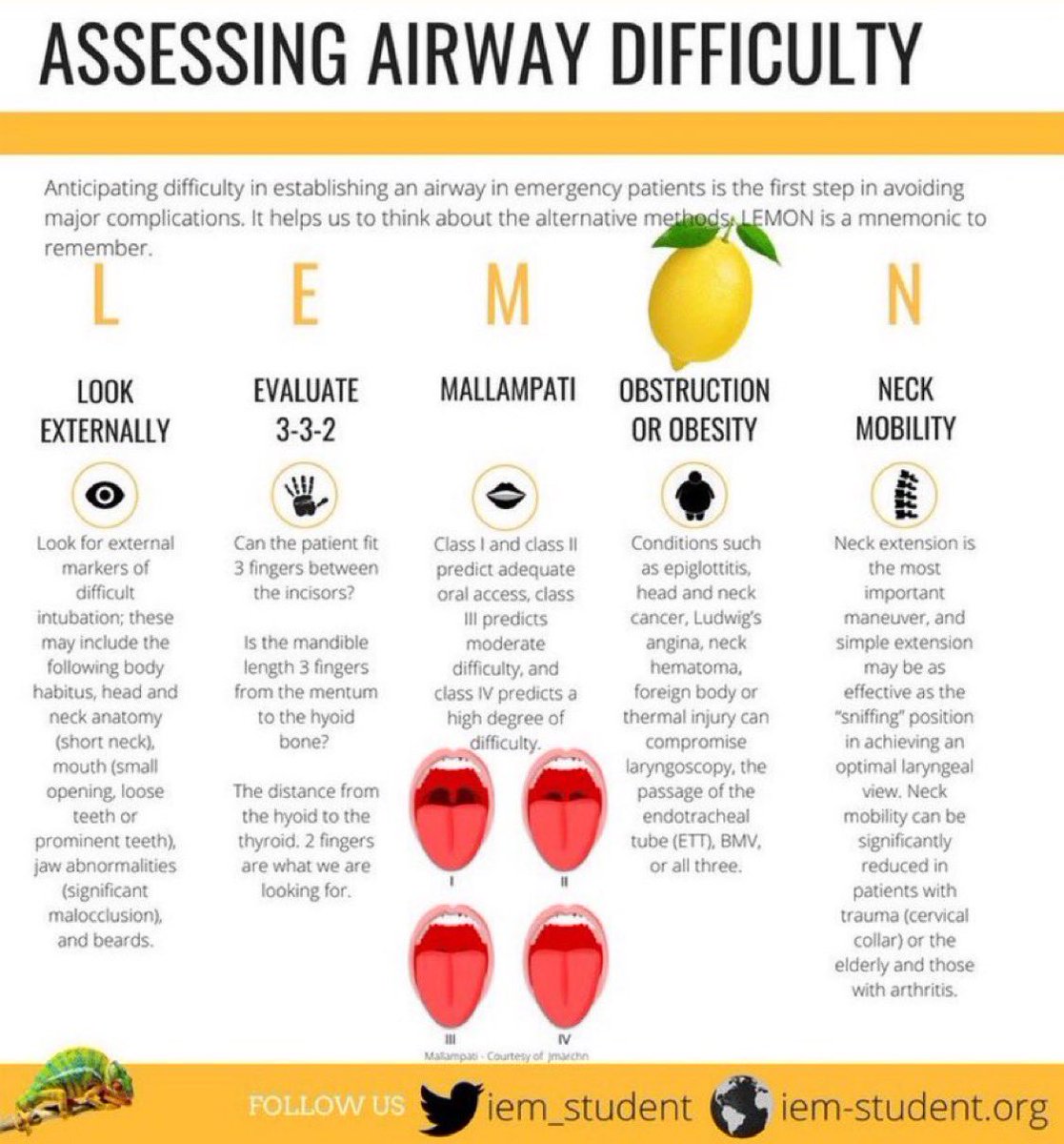 L.E.M.O.N. approach to predicting the potentially difficult airway :

#ER