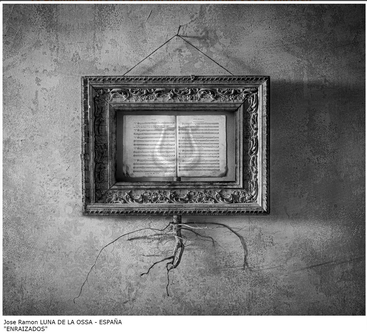 DistiraElkartea's tweet photo. Zumaiako XXXVI Argazki Lehiaketa - XXXVI Concurso Fotográfico de Zumaia

1º Premio
José Agustín GURRUCHAGA GARAGARZA
2º Premio
Jose Ramon LUNA DE LA OSSA
3º Premio
Rachelle STEELE
Premio local, primer zumaiarra
Juan Ramón LLAVORI ROMATET
(https://t.co/0oOoHOdDsi) https://t.co/JfliYtBHEf