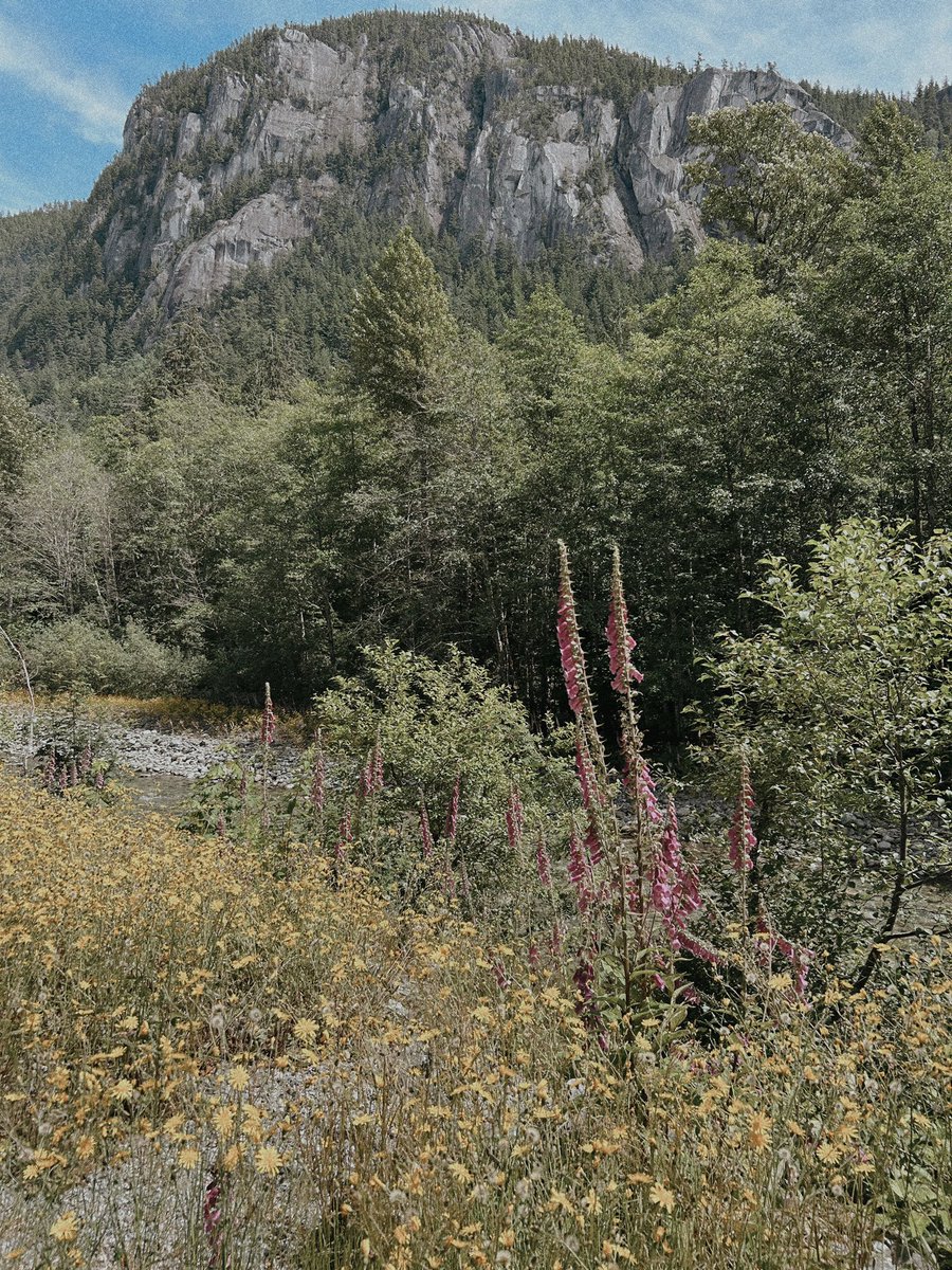 Mia Gordon TWN tweet media