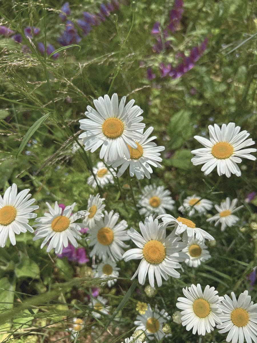 Mia Gordon TWN tweet media