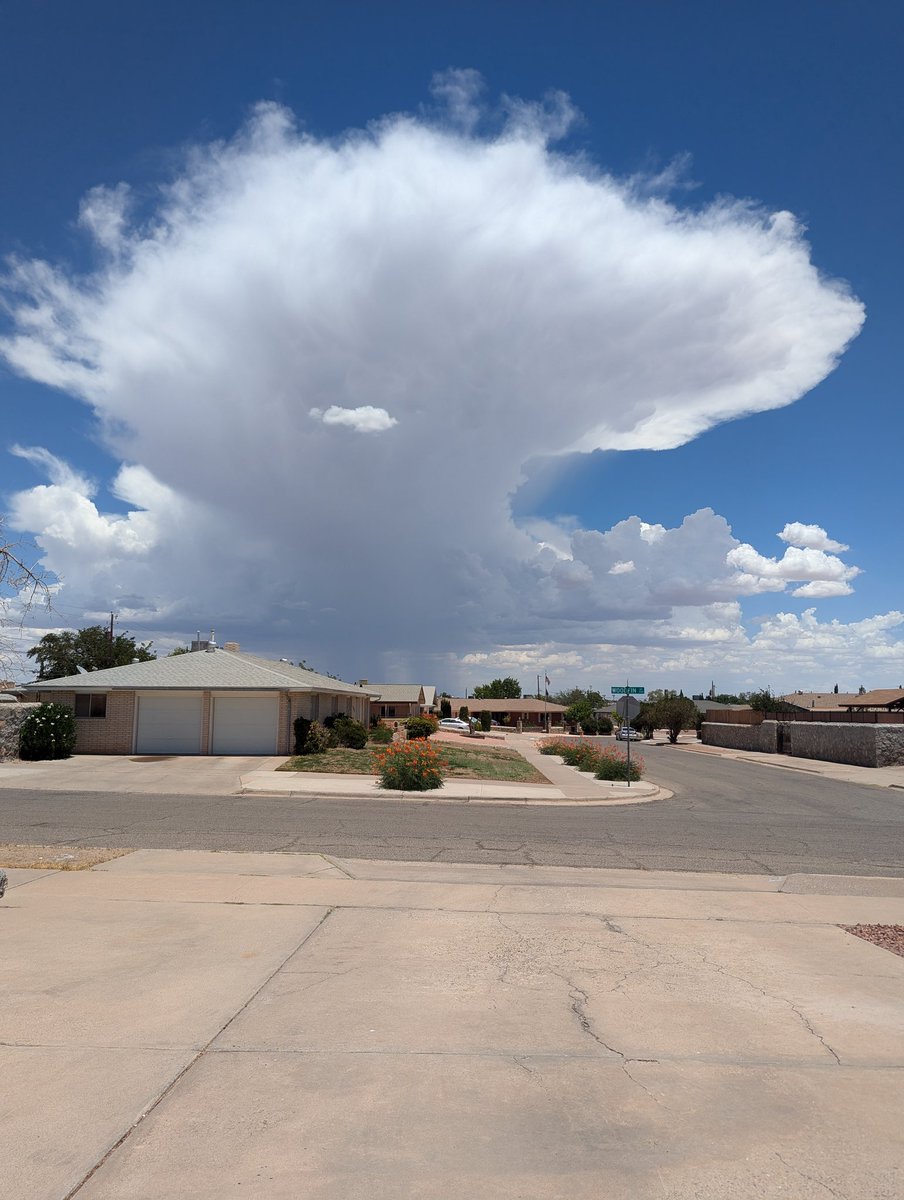 Tim Brice tweet media