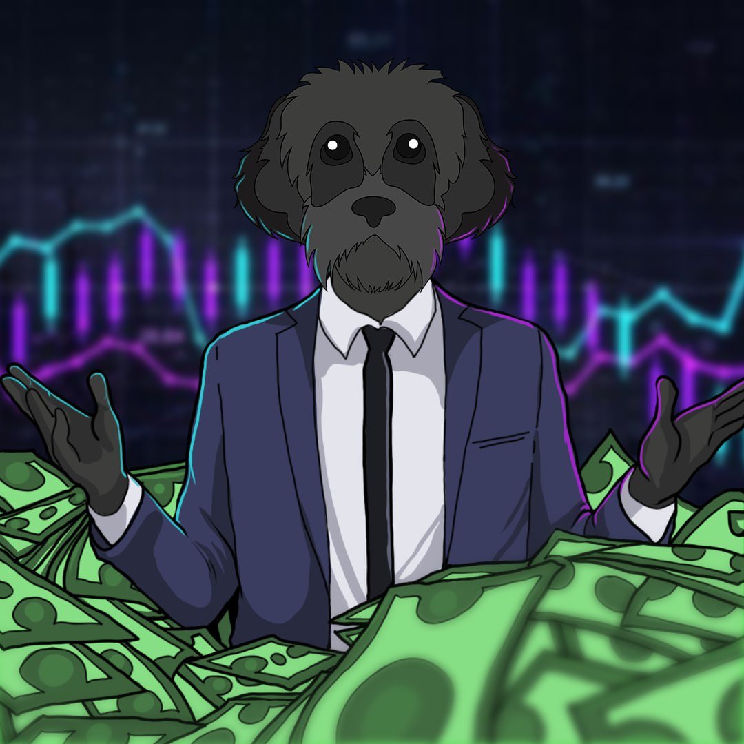 I choose rich every single time $MYRO