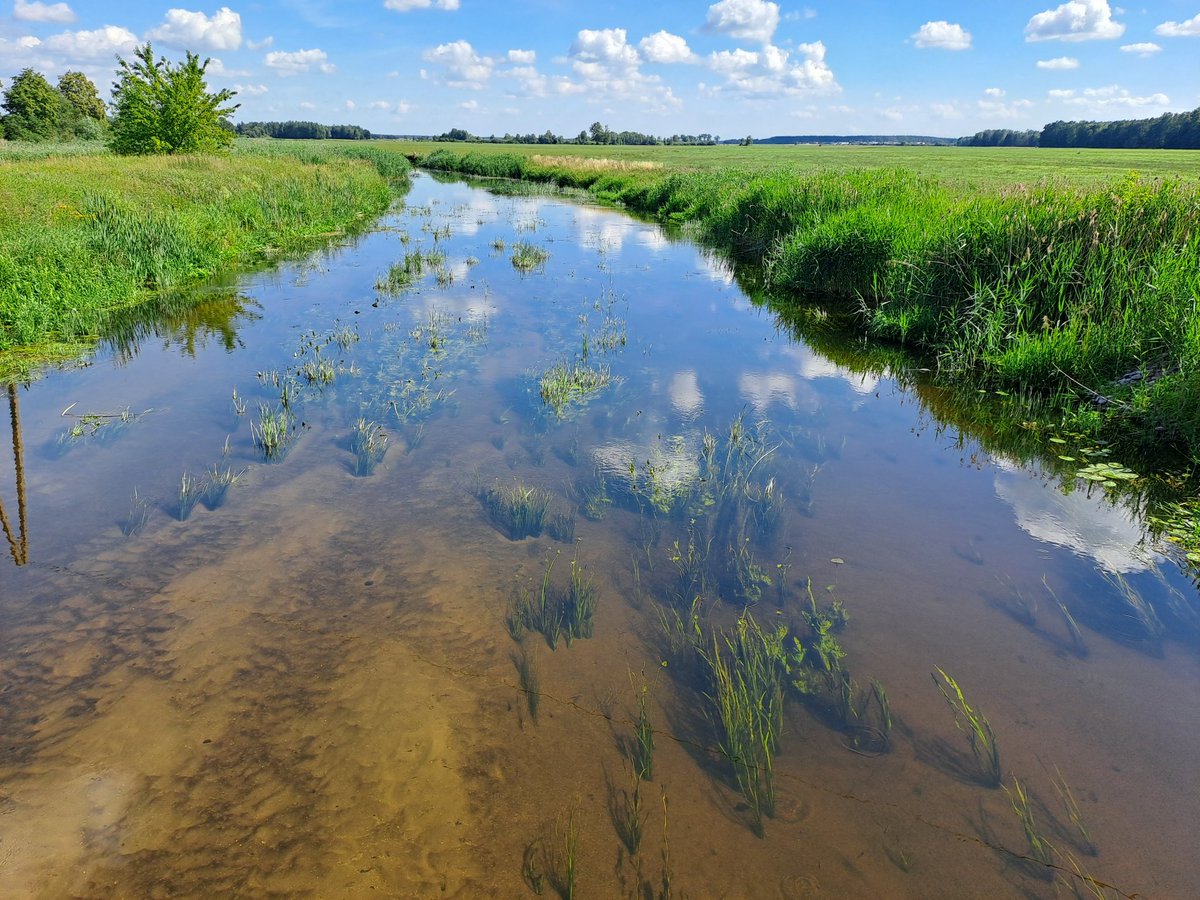 A fantastic Society of Wetland Scientists Europe Chapter 19th meeting comes to an end with a great success. Transformative change is hopefully going to happen for the benefit of wildlife and people!