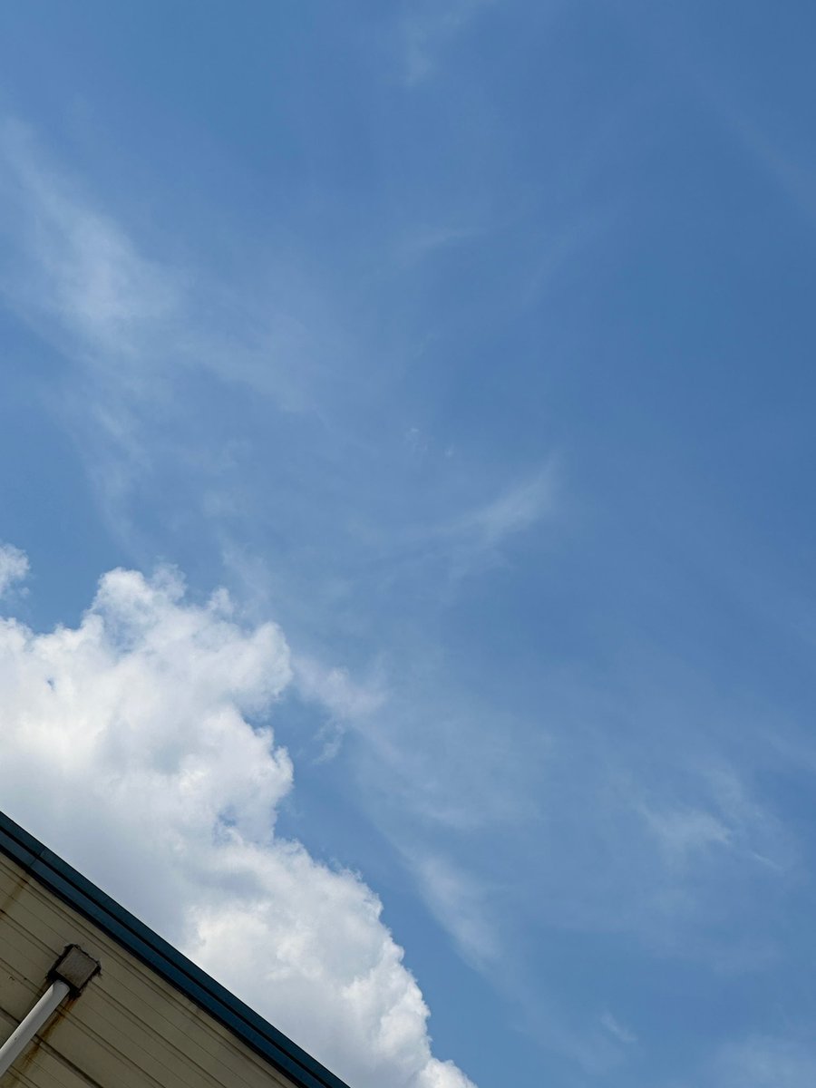 📲 | W UPDATE

#CHAEL : Il fait beaucoup aujourd'hui 

#루네이트 #LUN8  | 🦊