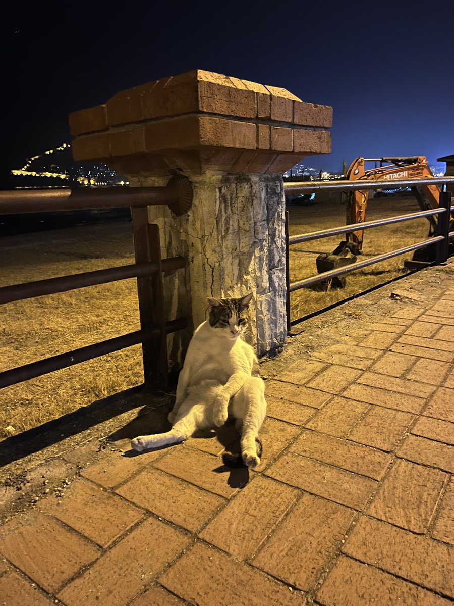 Bizim bezmişlik seviyesi