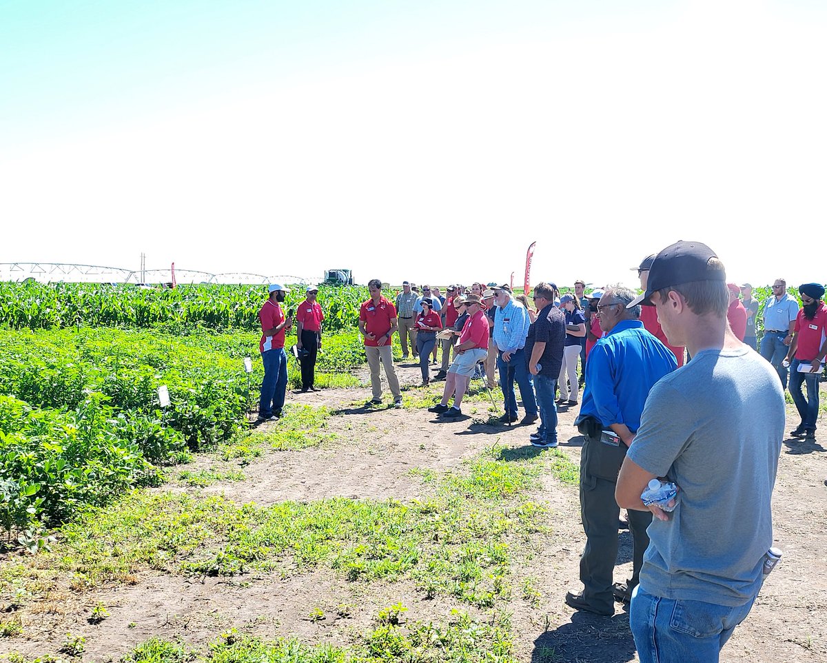 JhalaRachana's tweet image. Great attendance and a lot of projects were demonstrated at Nebraska Extension Weed Management Field Day at South Central Ag Lab today. @UNLExtension @unlagrohort @MarthaMamo3 @AmitUNL