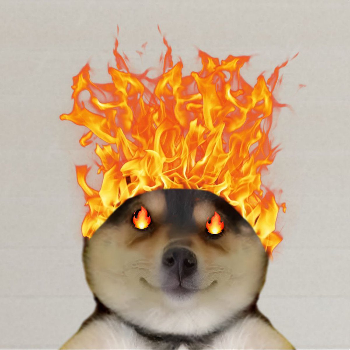 Manyu Wif Hat (@ManyuWifHat) / Posts / X