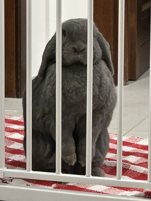 Watch Ruby's leaked NSFW photo on TwXstars