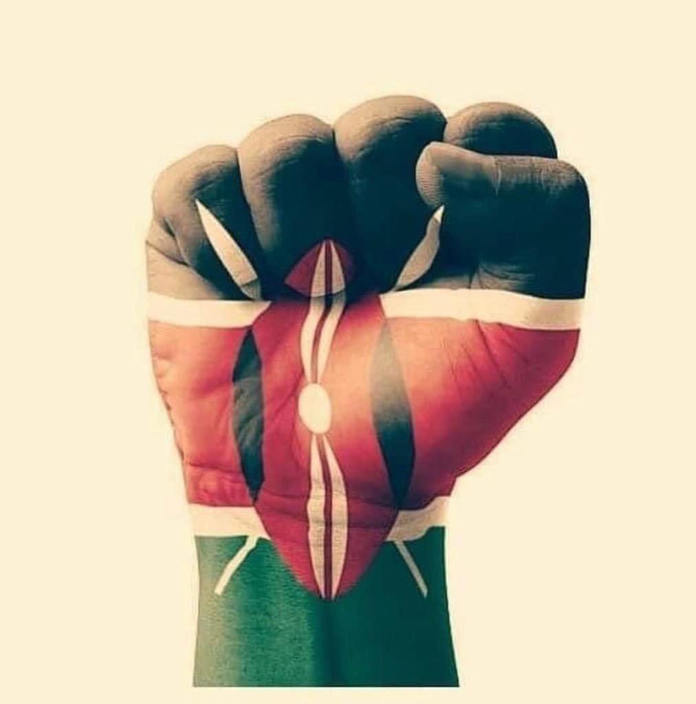 Nationalist51's tweet photo. @kimaiyo #OccupyStateHouse https://t.co/MXEKflqXHD