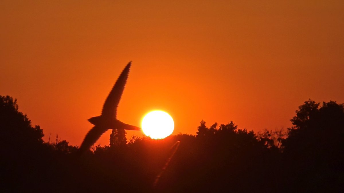 Tadek_8's tweet image. Na horyzoncie 
#Szczecin #sunset #jerzyk