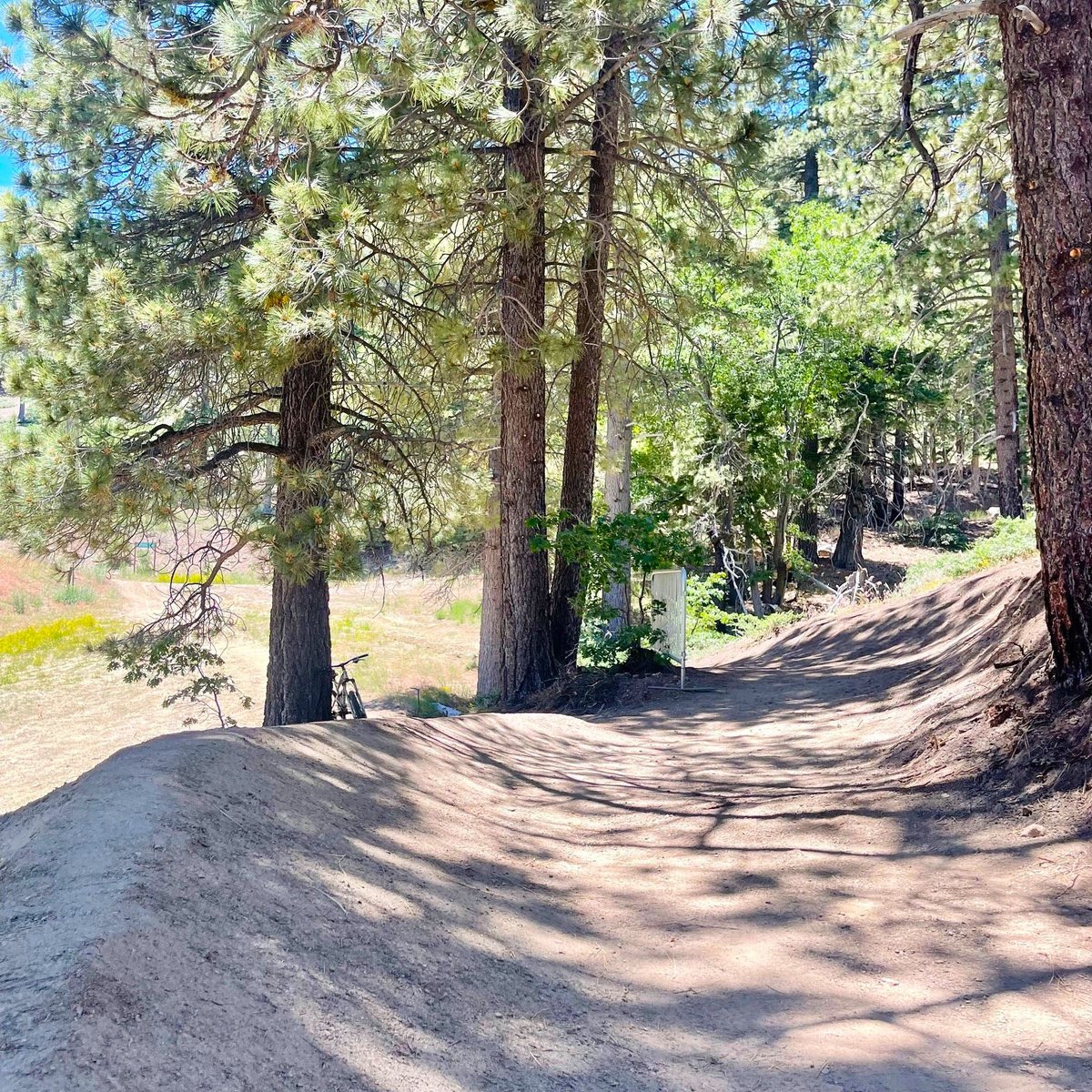mthigh's tweet photo. Get a glimpse of the new Mountain Biking trail construction underway. 5+ miles of new terrain is scheduled to open this fall. We can't wait! Keep in touch for weekly updates or tap the link to ... https://t.co/18wi2KwtD4  #mthigh #mountainbiking #summer24 https://t.co/mzEwPPBy5D
