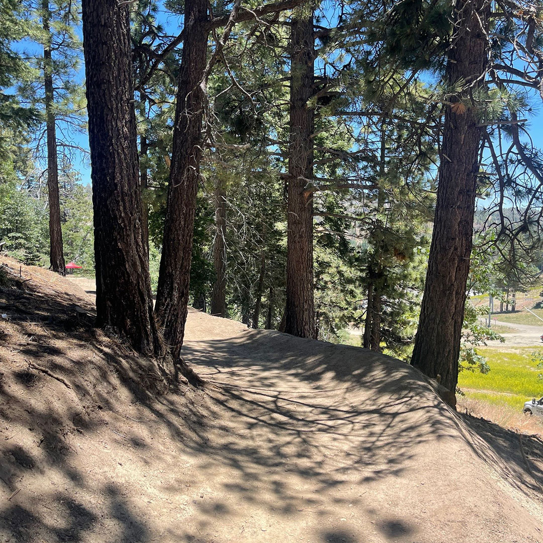 mthigh's tweet photo. Get a glimpse of the new Mountain Biking trail construction underway. 5+ miles of new terrain is scheduled to open this fall. We can't wait! Keep in touch for weekly updates or tap the link to ... https://t.co/18wi2KwtD4  #mthigh #mountainbiking #summer24 https://t.co/mzEwPPBy5D