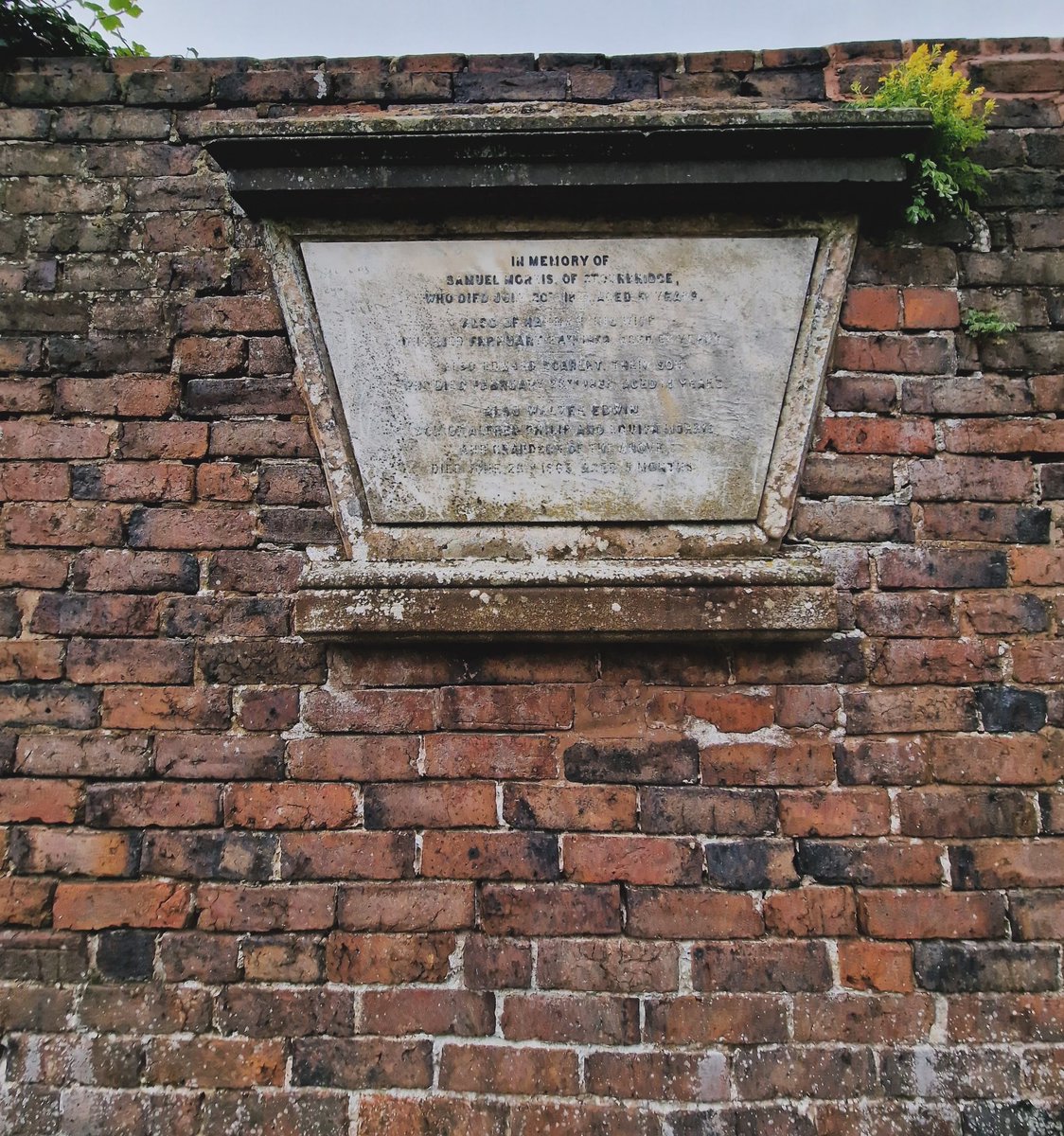 bcdyingmuseum's tweet photo. Samuel Morris of Stourbridge.
 
St Mary Oldswinford

#wallsonwednesday #oldbricks https://t.co/ktSNSGlJ6d