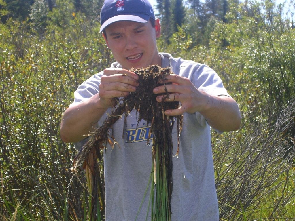 Dr. Fabien Schultz 👨🏼🔬☘️🦍🌍🦠⚕️ tweet media