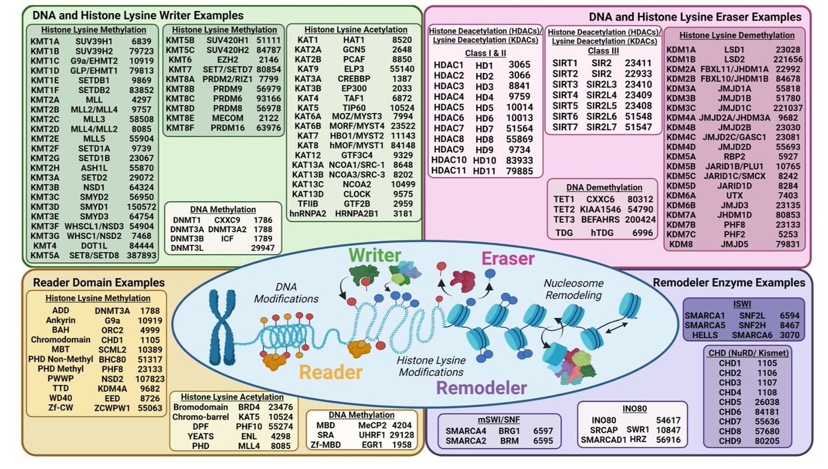 Whetstine Lab tweet media