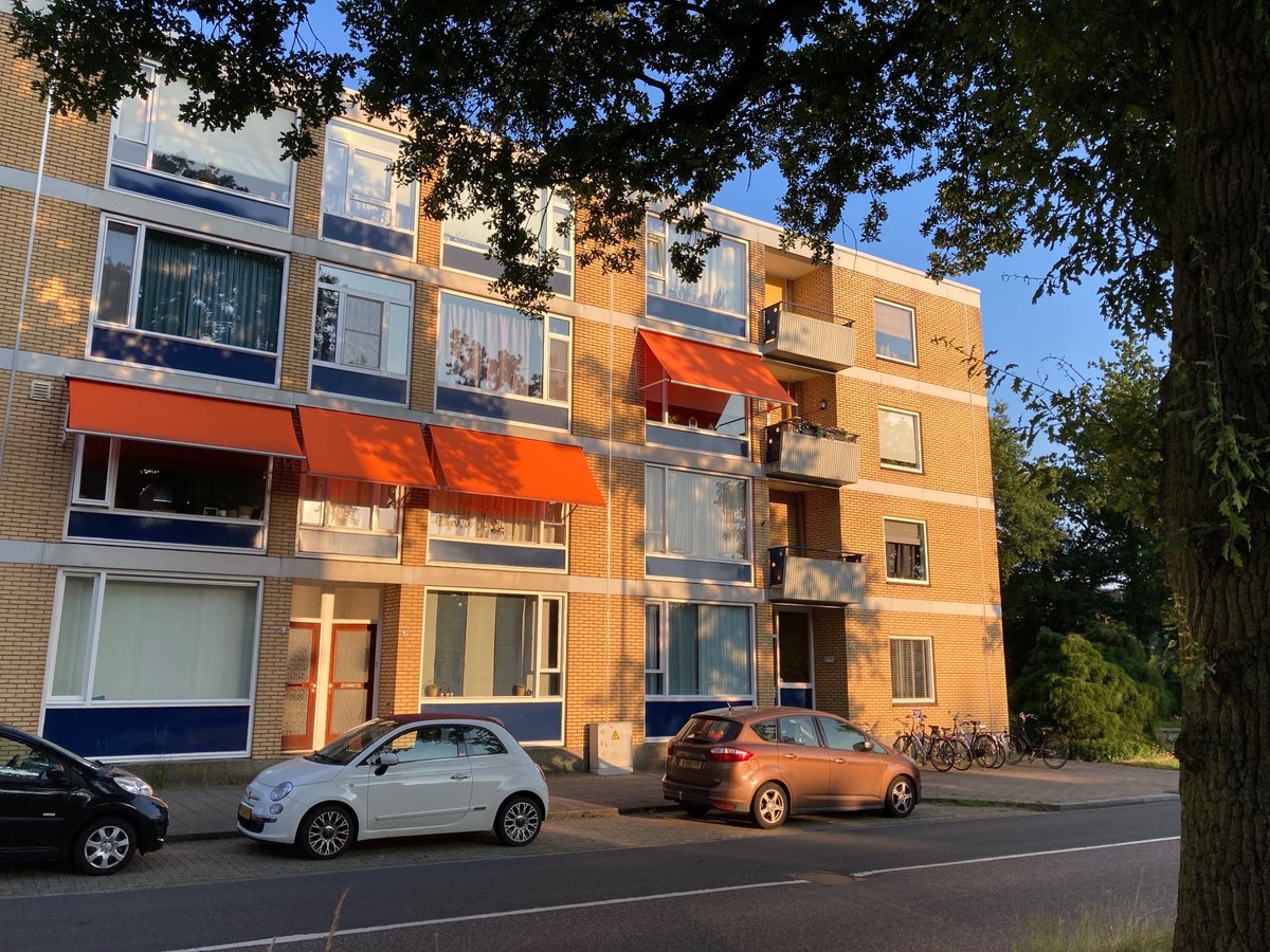 Josse de Voogd tweet media