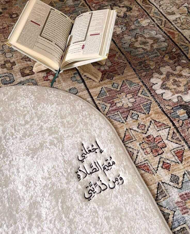 لا تمر عليك التغريدة الا و وضعت شيء تؤجر عليه 🤍🤍🤍