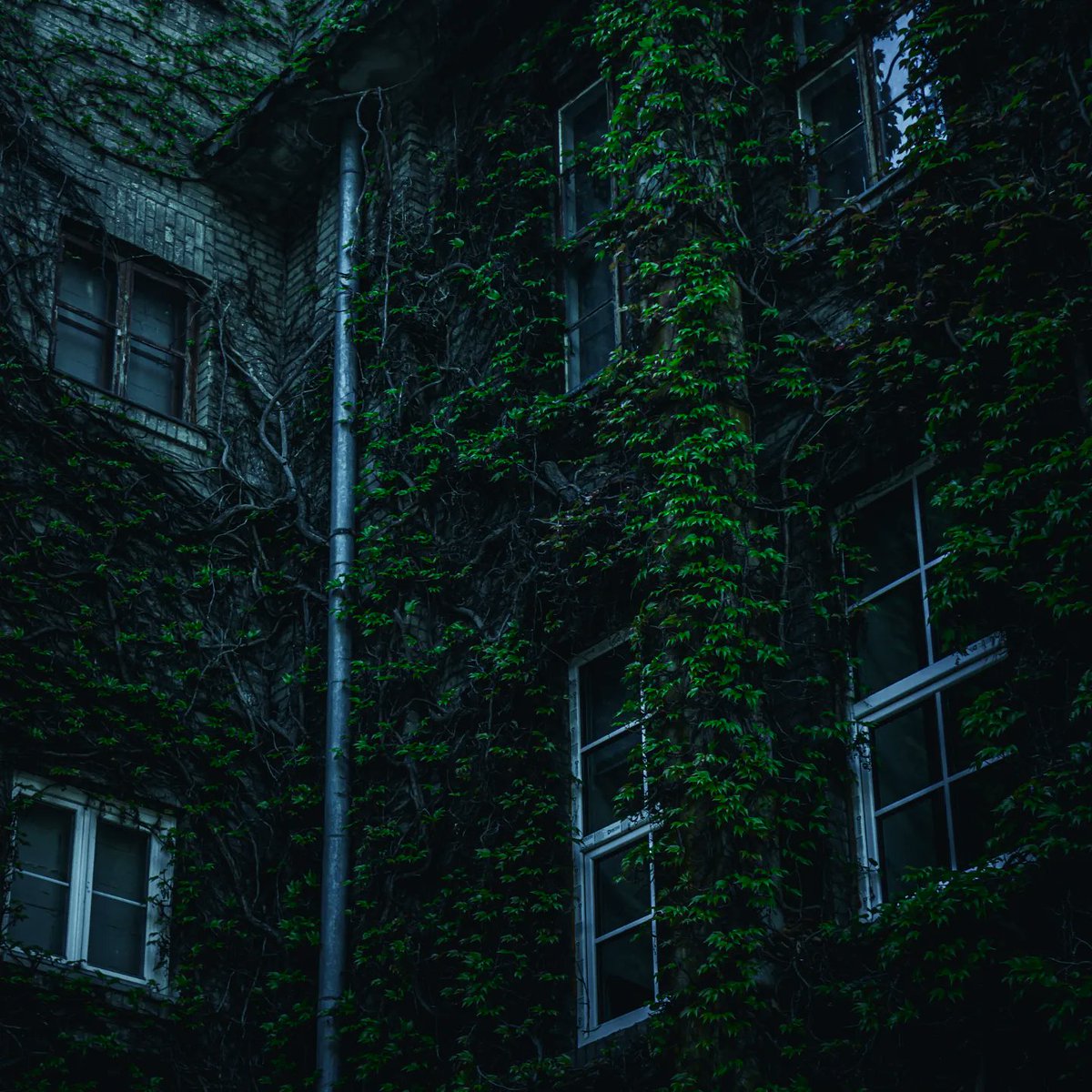 Gloomy Sunday 

#phography #SonyAlpha #darkphotography #Poland