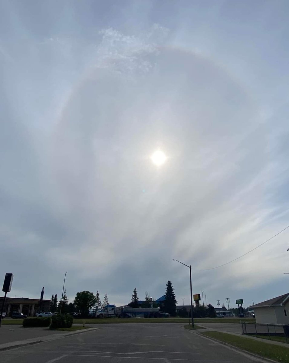 catasach369's tweet image. Rocky Mountain House - Alberta 
June 26/24
📷Kim Ferster