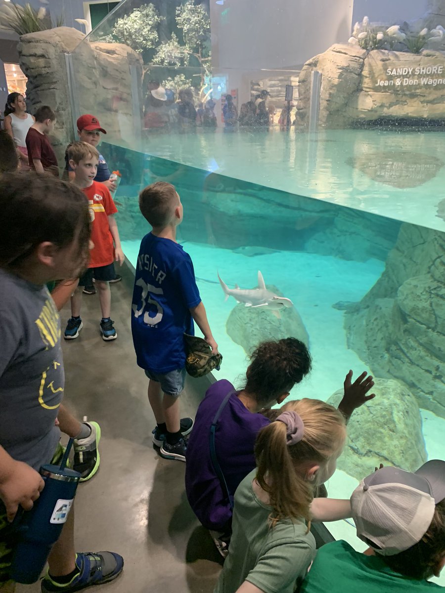 MrsZamora_ctes's tweet photo. @ChouteauSchool 3rd-5th grade summer school students went to the @KansasCityZoo today! We had such a great time seeing and learning about all the different animals! @NKCSchools #learningwithdragons https://t.co/UL8jbimFUh