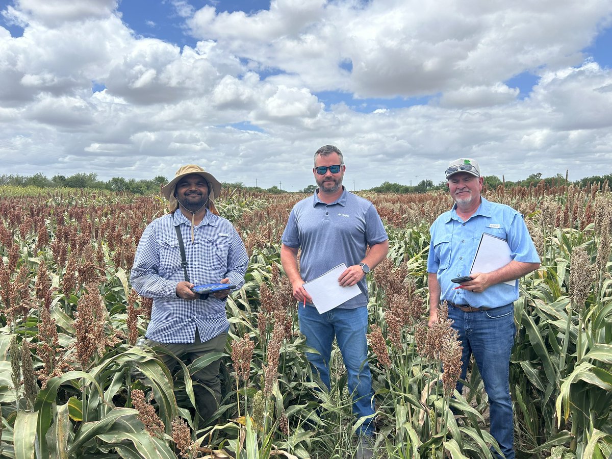 South Texas plot tours are a wrap! Excited for the new developments out of our R&amp;D program. #sorghum #warnerseeds