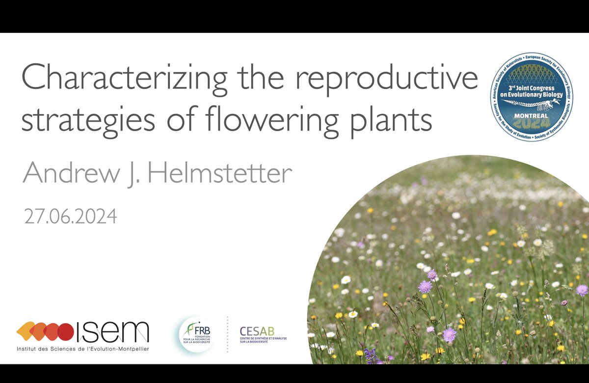 Andrew Helmstetter tweet media