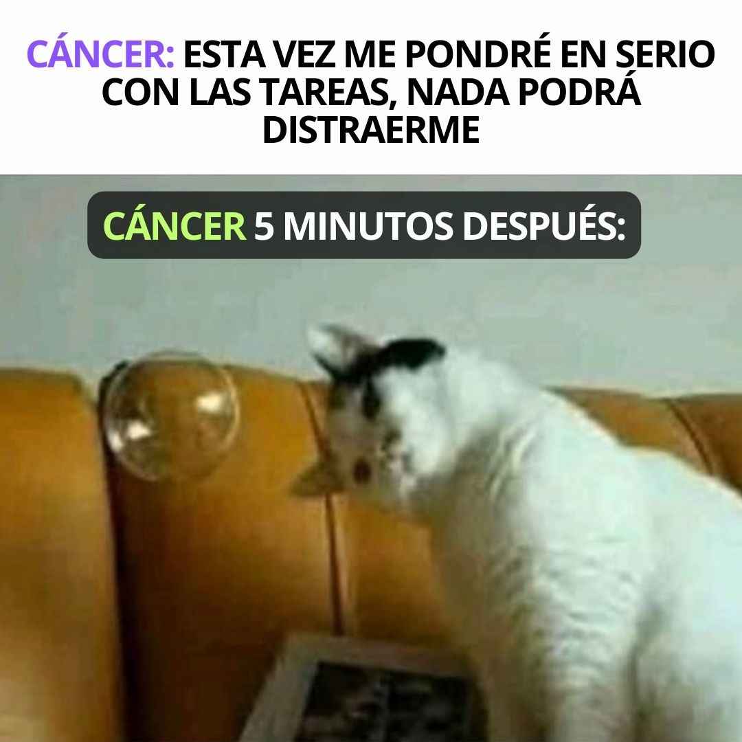 cancerhverde's tweet photo. https://t.co/56KXynERTw