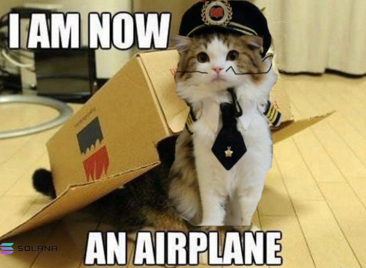 <a href="/catshouldnt/">Shubham Kumar</a> Silly cat thinks he's an airplane